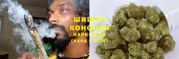 гидропоника Абаза