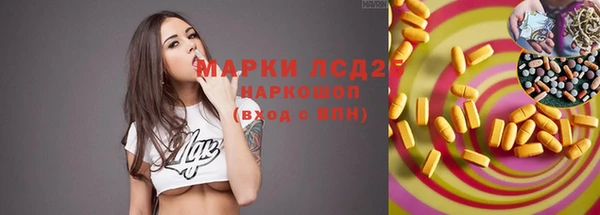 гидропоника Абаза