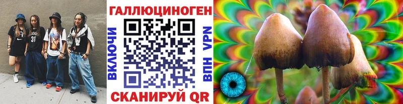 Галлюциногенные грибы Cubensis  наркошоп  omg ONION  Емва 